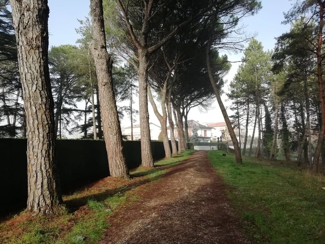 Dalla Regione Umbria 181mila euro per la rigenerazione della Pineta e del Parco Ranieri
